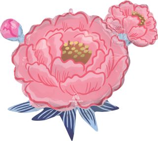 Pink Peony Flower