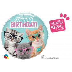Bday Kittnes