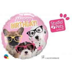 Bday Puppies