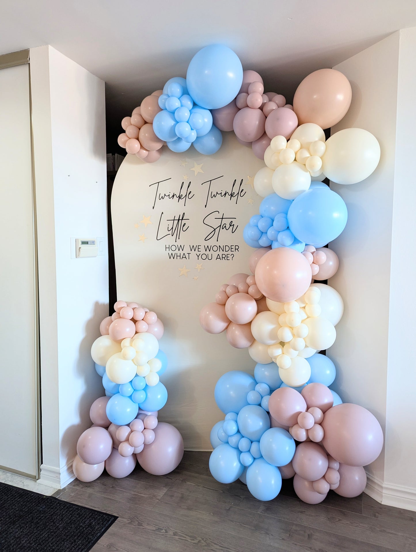 Gender Reveal Balloon Backdrop