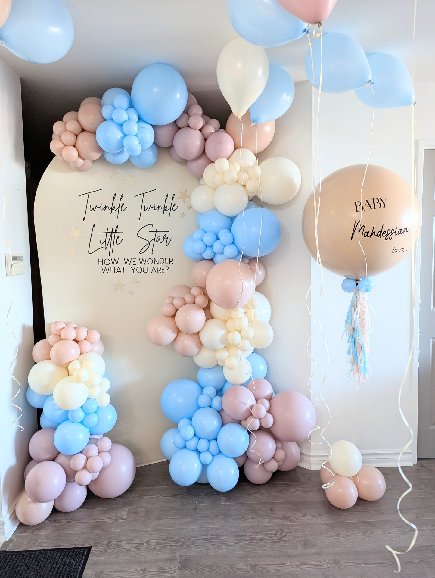 Gender Reveal Balloon Backdrop