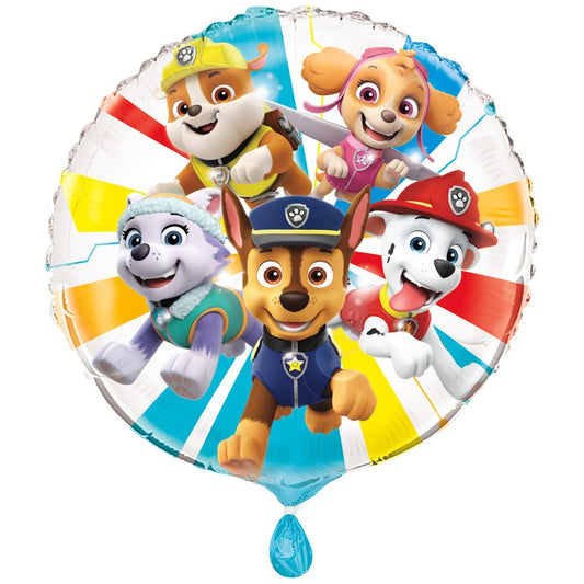 Paw Patrol Team
